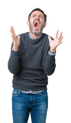 Fototapeta premium Handsome middle age senior man wearing a sweater over isolated background crazy and mad shouting and yelling with aggressive expression and arms raised. Frustration concept.