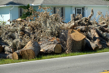 Piles of tree rubbish on road side for recovery truck pickup after hurricane in Florida residential area. Consequences of natural disaster © bilanol