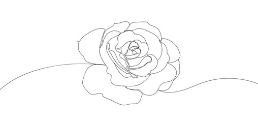 Rose flower in single continuous line drawing style for logo or emblem. modern vector illustration