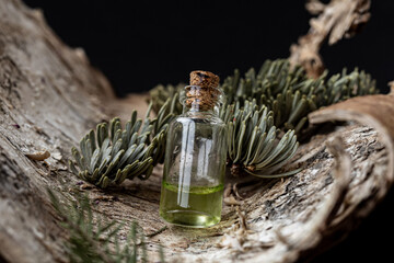 Organic cosmetics, biophilic design. Glass bottle with natural essential oil, fir needle oil on...