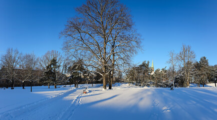 Panorama of a snow-covered city park with long shadows on a sunny morning in Riga, Latvia. Cold winter weather.