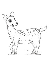 Sketch of deer
