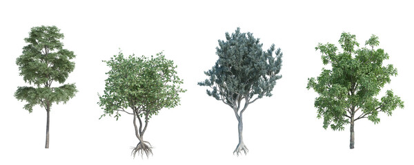 Fototapeta premium 3d rendering tree isolated cut background