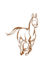 illustration of a horse