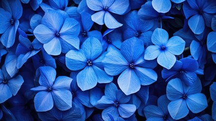 beautiful blue flower background illustration spring garden, petal blossom, sky fresh beautiful blue flower background