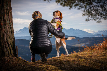 spending time with a dog during a mountain hike