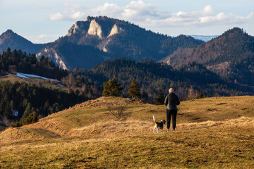 spending time with a dog during a mountain hike