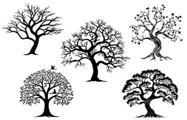 Trees silhouettes. Winter autumn naked forest and park tree and spruces without foliage. Vector isolated images on white background with birds.