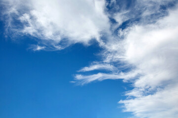 The background is a blue sky with white clouds of elongated shape.  Copy space.