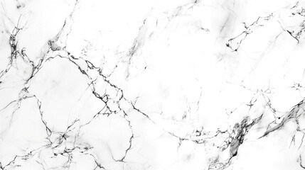 Marble texture. White marble with black and gray veins.