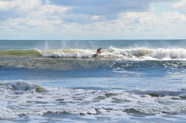 Lone Surfer at the ocean beach