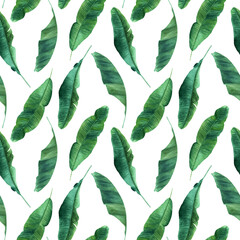 Obraz premium Watercolor seamless pattern with banana tree leaves. Hand drawn illustration isolated on white background. For wrapping wallpaper fabric textile.