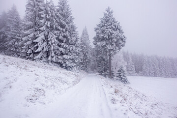 Fototapeta premium Kleine Winterwanderung im verschneiten Thüringer Wald bei Floh-Seligenthal - Thüringen - Deutschland