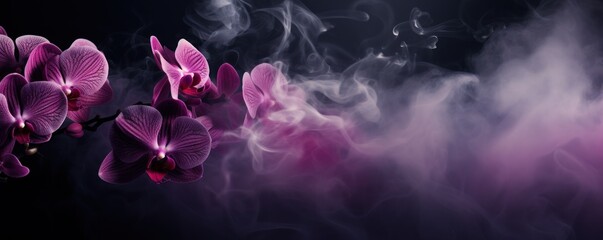 Empty dark background with orchid smoke
