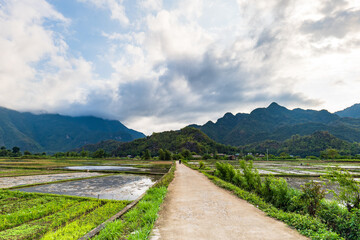 Fototapeta na wymiar Mai Chau village landscape with rice paddy fields in North Vietnam. Mai Cau is a countryside are popular for tourists
