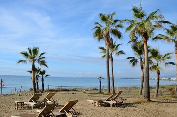 Sunbeds and palm trees at lonely beach of Marbella, Andalusia, Spain.