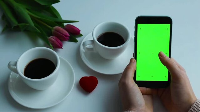Green screen chroma key tulips two coffee cups small red heart in woman's hands spring holidays Valentines day