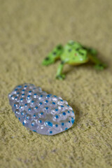 Plastic figurine of frog eggs with a frog in the background.