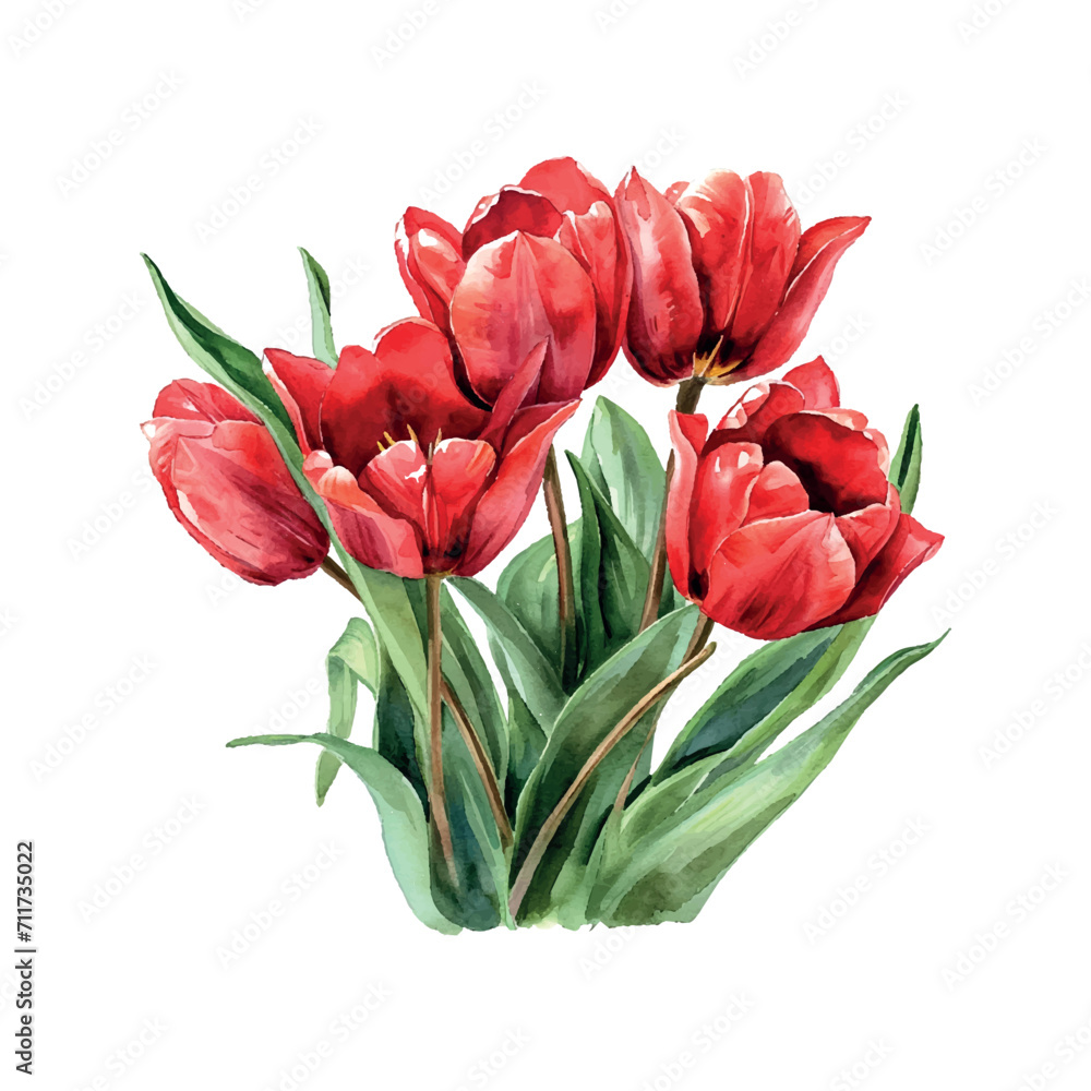 Poster bouquet of red tulips cartoon style watercolor illustration on white background