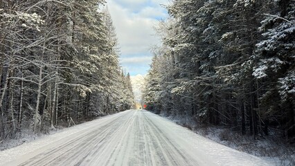 Obraz premium winter road in the forest