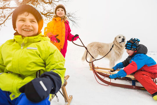 Three young kids sledding a playing in the snow. Wolfratshausen, Bavaria, Germany 