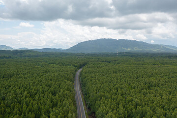 Fototapeta premium Aerial view of cars driving on highway or moterway. Overpass bridge street roads in connection network of architecture concept. Top view of forest trees. Nature landscape