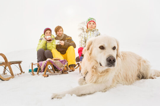 Mother, father and daughter drinking tea with their dog in a snowy landscape in winter. Wolfratshausen, Germany