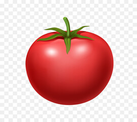 Tomato. Vector 3d clipart isolated on transparent background.