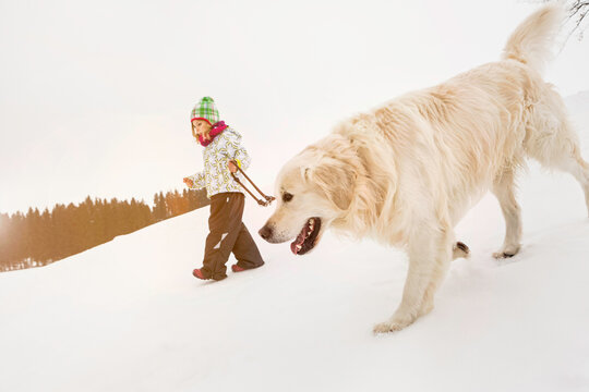 Young girl walking down a snowy hill with her dog in the winter while in nature. Wolfratshausen, Bavaria, Germany