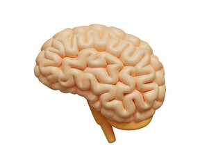 3D brain icon. Human brain, cerebrum icon. Symbol of knowledge, learning and education concept. 3d illustration
