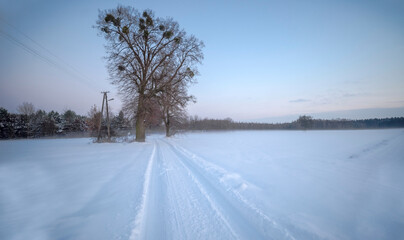 Fototapeta na wymiar Leśna ,osada, wieś na dużej polanie pod śniegiem . Łąki i pola oraz drzewa w zimowej aurze tuż po zachodzie słońca.