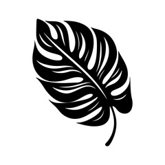 Monstera tropical leaf icon illustration, Monstera leaf black silhouette logo svg vector