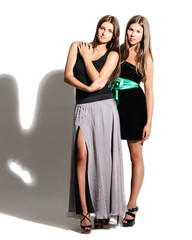 Portrait of the beautiful young girls