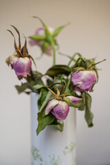 Wilted and withering roses in a vase.