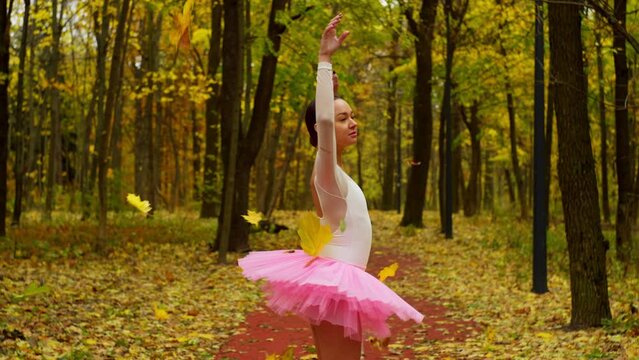 A beautiful ballerina in a pink patch is circling in a yellow leaf. Several leaves linger on her body and add a certain charm to her image. High quality 4k footage