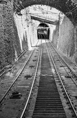 A pair of metal rails parallel to each other rise up the tunnel, overgrown with climbing plants with leaves. Black and white vertical photo
