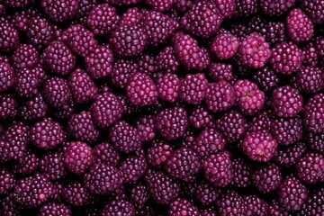 Mulberry slab background