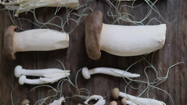 Various edible Asian mushrooms. Set of vegetables. Dark background, natural light