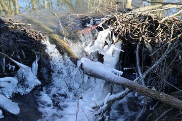 icy Beaver dam