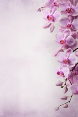 Naklejka na ściany i meble Orchid flat clear gradient background with grainy rough matte noise plaster texture