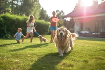 Fotobehang a beautiful family of four, all smiles, playing catch with a flying disc on their backyard lawn. A happy golden retriever joyfully joins the game © Jiwa_Visual