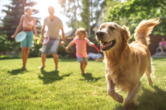 a beautiful family of four, all smiles, playing catch with a flying disc on their backyard lawn. A happy golden retriever joyfully joins the game