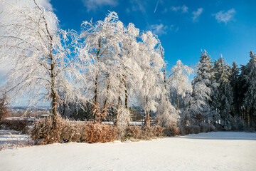 Winterlandschaft mit Bäumen wie aus Kristall