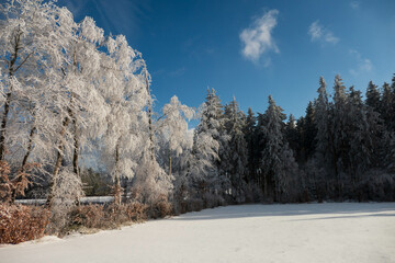Winterlandschaft mit Bäumen wie aus Kristall