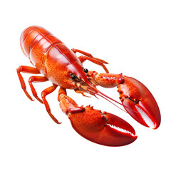 lobster isolated on transparent and white background. Generative ai