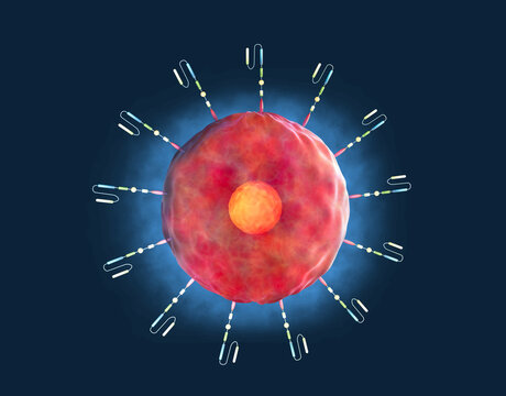 The chimeric antigen receptor T (CAR-T) cell therapy is a new treatment for a variety of cancers. 3d rendering