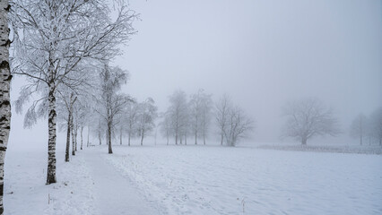 Fototapeta na wymiar Winterlandschaft 