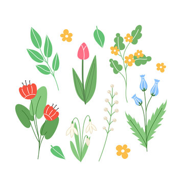 Spring set of elements from flowers and branches in cartoon style
