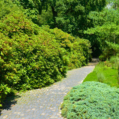 Stone path in summer park.