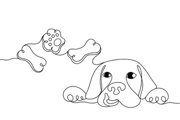 Dog. Feed. Food. Want. Cookies for dogs. Yummy